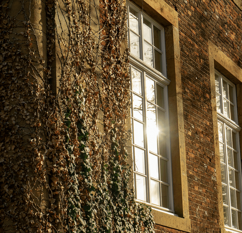 subconscious healing and identity-based coaching